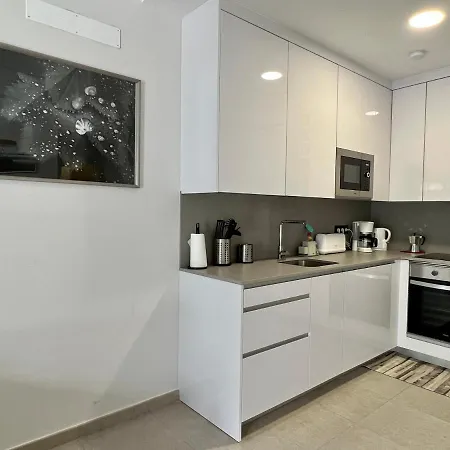 Ongi Etorri Apartament
